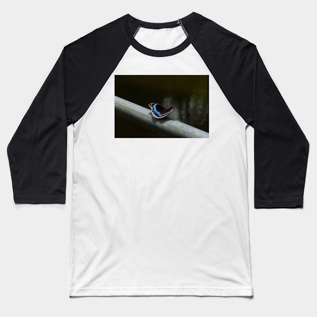 Pretty Blue Butterfly Baseball T-Shirt by KaSaPo